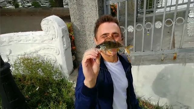 Рыбалка в Парке Горького на спиннинг #рыбалка #Гoлицынскийпруд #gorkypark #Moscow #паркгорького смотреть онлайн