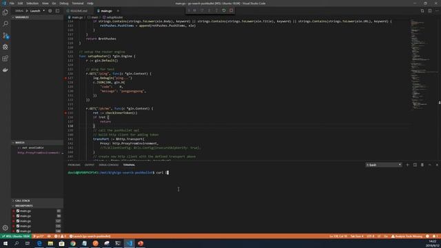 Vscode Debug Golang Code From Wsl2