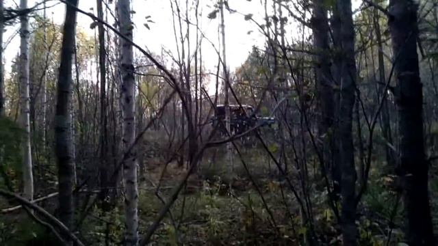 Домовой Счастье