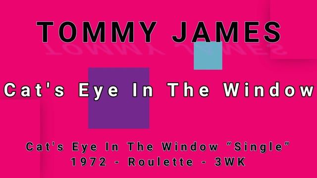 TOMMY JAMES-Cat's Eye In The Window (vinyl) смотреть онлайн