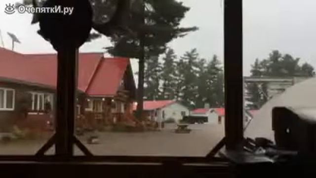 Зрелищный удар молнии в дерево смотреть онлайн