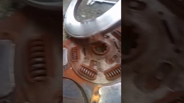 Руки умелого мастера