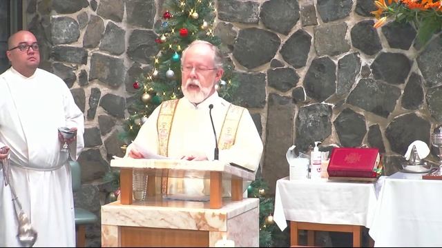 Nativity of the Lord, Christmas Day, Mass - 25 December 2022 смотреть онлайн
