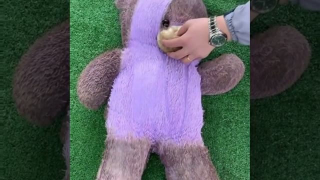 Химчистка игрушки