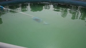 Чистка бассейна intex