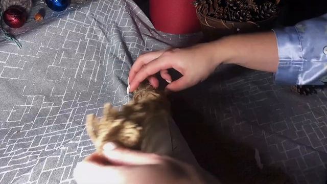 DIY/ Christmas tree смотреть онлайн