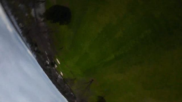 Ride the Sky #fpv #fpvfreestyle смотреть онлайн