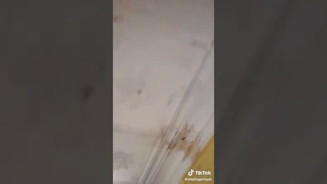 Трэш комуналка, наконец сдали комнату в аренду 🤦♂️Вся квартира под расселение смотреть онлайн