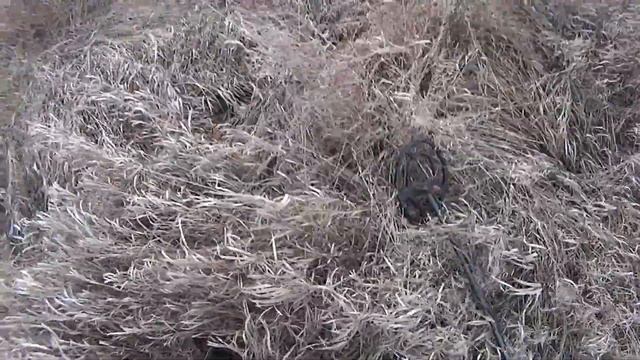НИЧЕГО СЕБЕ ПОВЕЗЛО С МЕТАЛЛОМ! СТРАННО ЧТО ЕГО НЕ ВЫКОПАЛИ ДО НАС! Металлокоп 2021 смотреть онлайн