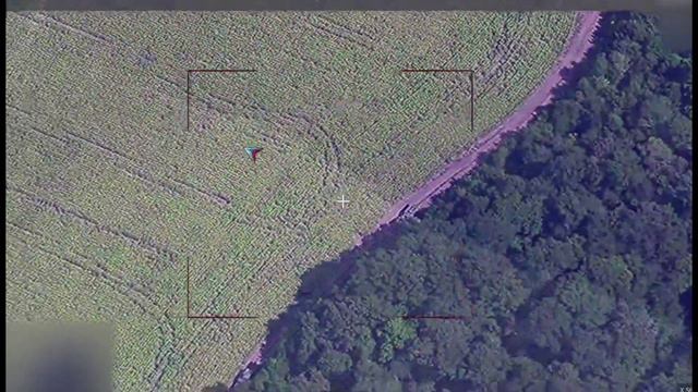 «Искандер» сжёг американский HIMARS, который наносил удары по Курской области смотреть онлайн