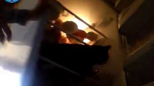 Что делают папа и дочка.пока мамы нет дома)))