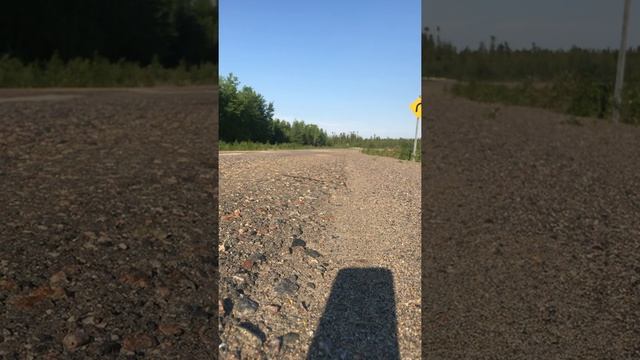 2002 VW Passat 1.8t 5spd morning stretch смотреть онлайн