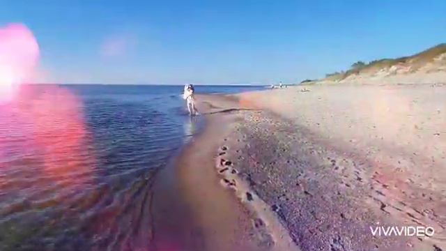 Куршская коса 2020 смотреть онлайн