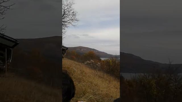 Голден маск 2