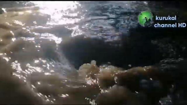 Чтобы понять как прекрасен этот канал, нужно всего лишь подписаться!