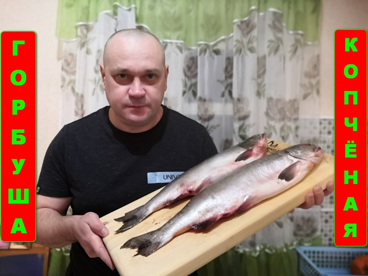 Горячее копчение горбуши. Как коптить рыбу быстро, вкусно, правильно. смотреть онлайн