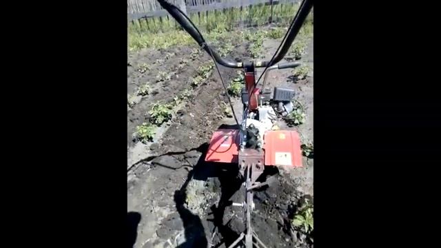 Битва за Урожай !! Мотоблок Угра- выращивание картофеля сезон 2021 / цикл работ смотреть онлайн