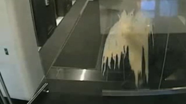 Подборка курьезов со стеклянными дверьми смотреть онлайн