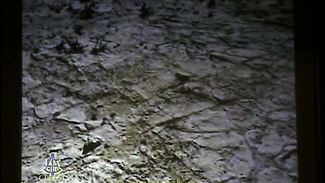 EL GIZA DAL SOTTOSUOLO ALLE STELLE 2 смотреть онлайн