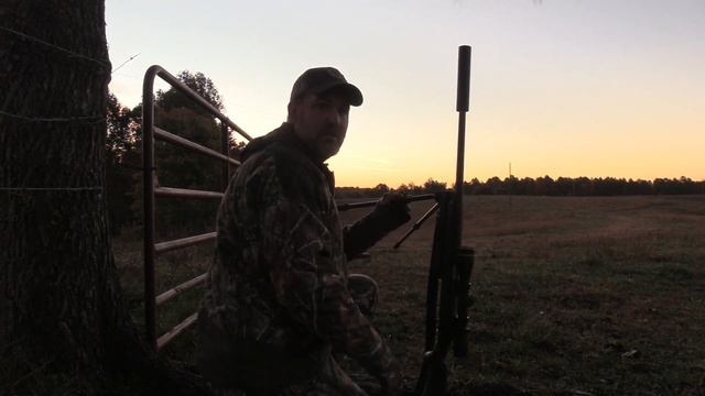 Coyote Smells Dead Coyote Hunt