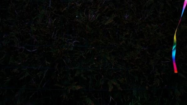 CATS TV - Rainbow String Thing 60FPS - 3 HOURS (Game for cats to watch)