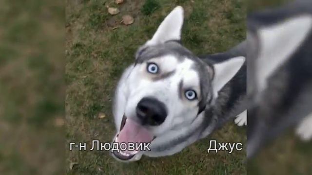 С Днём Рождения Lara Croft! Изобрели устройство для чтения мыслей животных смотреть онлайн