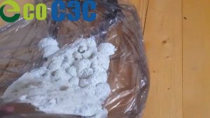 Обработка методом фумигации дома от короедов!