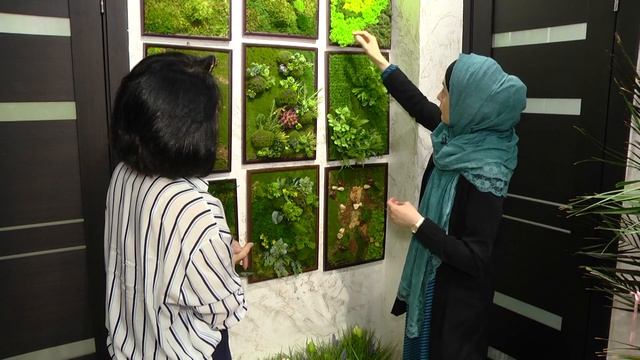 Всевозможные элементы озеленения помещений смотреть онлайн