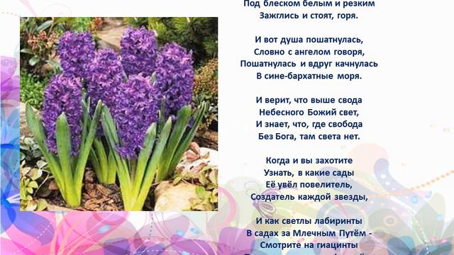 "Цветы в легендах и поэзии" смотреть онлайн