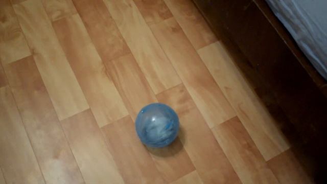 Шар для хомяка / Hamster in a ball смотреть онлайн
