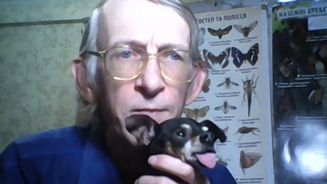 Какие Жуки Живут в Доме и Как Избавиться от Них? Спроси Ученого Энтомолога. смотреть онлайн