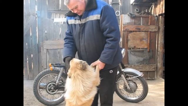 ПС 350. Первый выезд на природу. 13 марта 2019 года. смотреть онлайн
