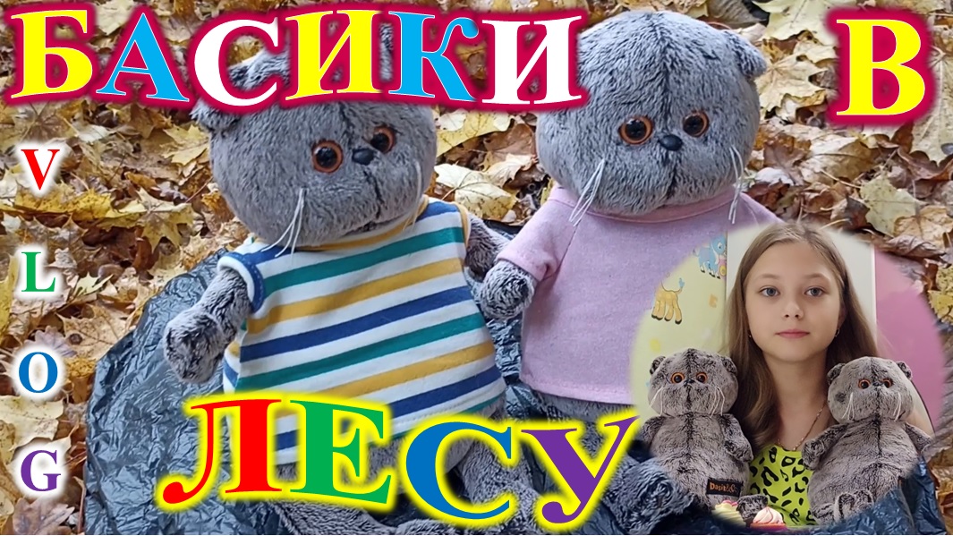 БАСИКИ ГУЛЯЮТ В ЛЕСУ! VLOG! смотреть онлайн