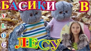 БАСИКИ ГУЛЯЮТ В ЛЕСУ! VLOG!