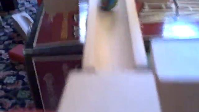 rube goldberg mick and leo prelim смотреть онлайн