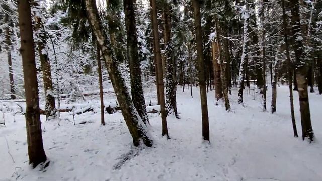 Зимушка. Зима. смотреть онлайн