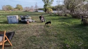 Рыбалка на реке Бузан весна 2023 года.