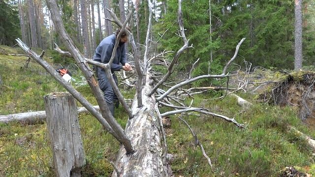 Пила Samurai Ichigeki W-330-LH