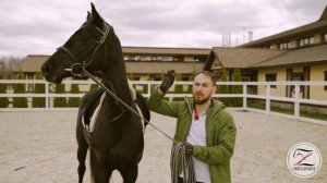 Работа с молодой лошадью.