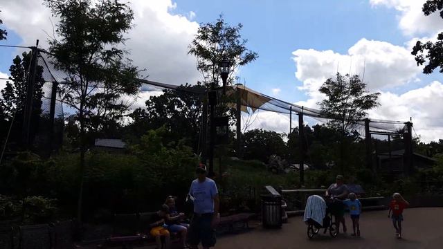 Бесплатный зорпарк в США. Como zoo St.Paul. смотреть онлайн