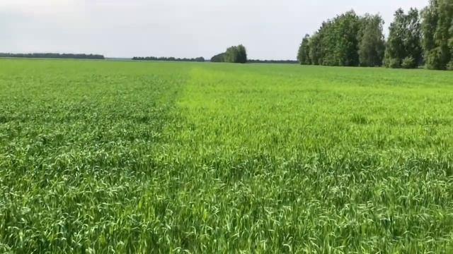 КАС 32 - Работает или Нет!? смотреть онлайн