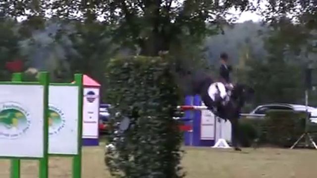 Hilmar Meyer Sporthorses 2014 Footloose смотреть онлайн
