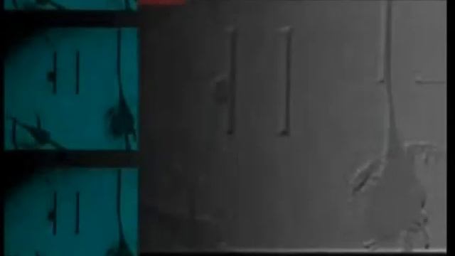 ЗНАМЕНИЯ КОНЦА СВЕТА - РАСКАЛЫВАНИЕ ЛУНЫ смотреть онлайн