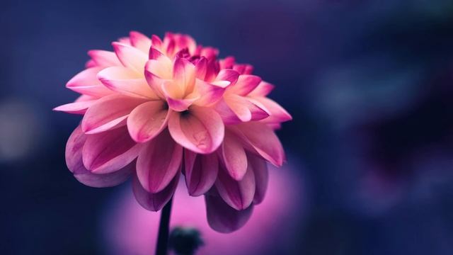 интересные стихи часть 12 смотреть онлайн