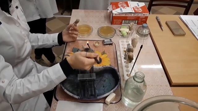 Практические навыки по общей микробиологии