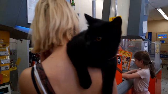 В магазин нужно ходить с черной кошкой! смотреть онлайн