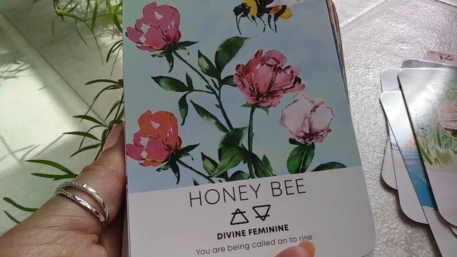 Traceyhd's Review Of The Spirit Animal Wisdom Oracle Deck смотреть онлайн