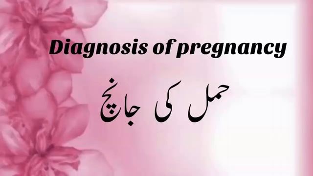 First Month Of Pregnancy ;Complete Information||Month By Month Pregnancy||Symptoms ,Do's And Dont's смотреть онлайн