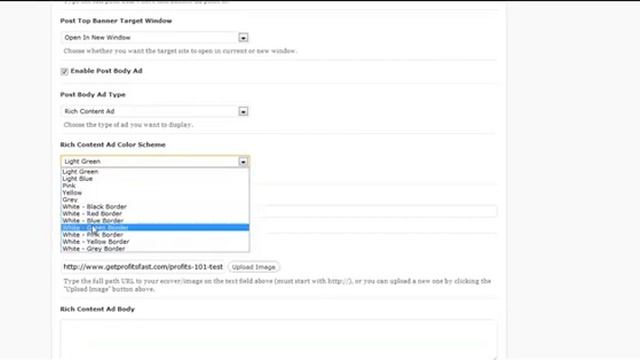 WordPress Profits Theme Insert Blog Post CONTENT Ads/Banners/Images/Optin Form смотреть онлайн