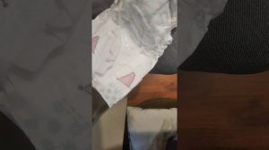 Памперс на собаку